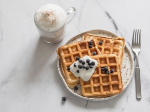 Delicious homemade baked belgian waffles with greek yogurt, blueberries and cappuccino on white