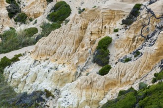 Badlans in the beach of Gale, Grandola, Portugal, Europe