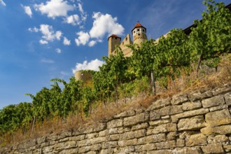 The most beautiful vineyards in Germany