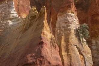 Luberon ocher near the village of Roussillon. Geological wonder in Provence
