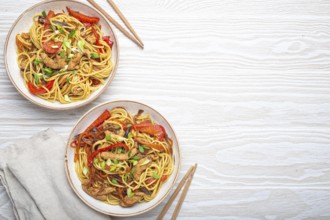 Two bowls with Chow Mein or Lo Mein, traditional Chinese stir fry noodles with meat and vegetables,