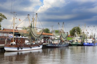 Traditional shrimp boats in the harbour of Greetsiel, East Frisia, Germany, Europe