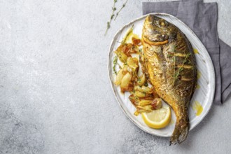 Food, Grilled sea bream or dorada on gray plate. Gray background