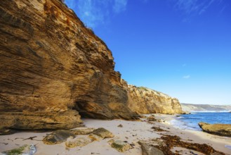 Fingal Beach as part of the Mornington Peninsula Coastal Walk on a warm winter's day near