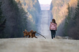 Walking Northern Saskatchewan Girl on a hike with dogs