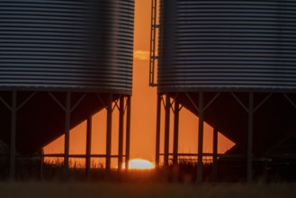 Sunset between the Granaries in Saskatchewan Canada Scenic