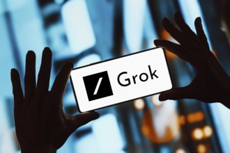 Grok is an artificial intelligence chatbot associated with the social network X, created by Elon
