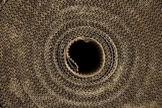 Cardboard packing texture carton in brown color