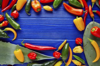 Mexican hot chili peppers colorful mix habanero poblano serrano jalapeno blue background