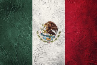 Grunge Mexico flag. Mexican flag with grunge texture