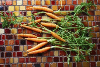 Mini Carrot vegetables on a tiles table background