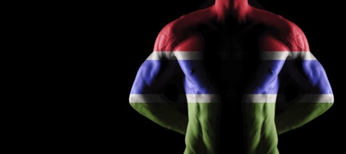 Gambia flag on muscled male torso with abs, black background