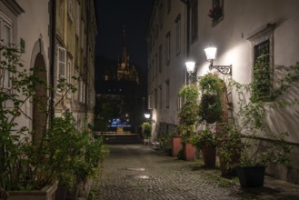 Scenic little Krizevniska alley in Ljubljana illuminated at night, arranged with plants at the