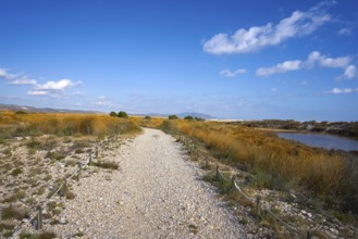 Prat Cabanes Torreblanca Natural Park in Castellon of Spain