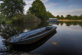 Fishing boat in the reeds