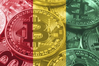 Guinea bitcoin flag, national flag cryptocurrency concept black background
