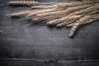 Wheat and rye ears on wooden board top view image