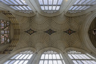 Interior view, ceiling, Bath Abbey, Bath, England, Great Britain