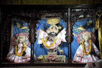 Statue radha gopinath ji temple, vrindavan, uttar pradesh, india, asia