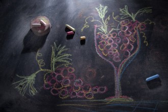 Graphical representation of a glass filled with red grapes, drawn with chalk on blackboard