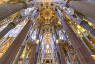 The interior of Sagrada Familia (Church of the Holy Family), the cathedral designed by Gaudi in