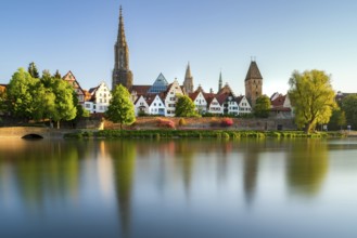 Panorama of City Ulm with Minster Danube and Metzgerturm in spring