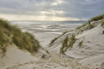 Dunes at the Beach of Amrum, Germany, Europe