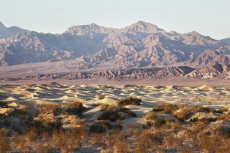 The famous Death Valley in California. Sand dunes and ancient mountains. Pink sunrise