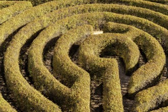 Labyrinth in a botanical garden in Poland