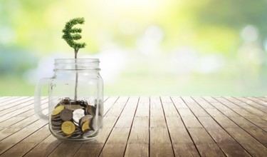 Coins in the glass with Euro shape plant growing, savings, growing, investment, retirement and