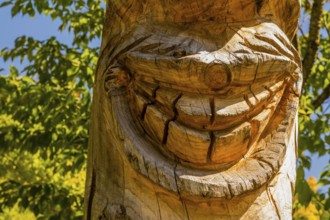 Boeun-gun, South Korea, September 13, 2019: Closeup of smile of Korean jangseung (village guardian)