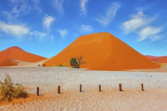 Namib Naukluft desert. Grand trip to Africa. Dead lake Sussussflay. Majestic huge orange dunes.