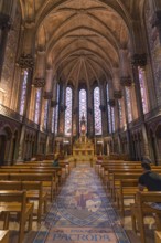 The interior of Lille Cathedral, the Basilica of Notre Dame de la Treille, at Lille, France, Europe