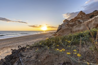 The golden sandy beach of Praia da Falésia with its characteristic orange-coloured cliffs,