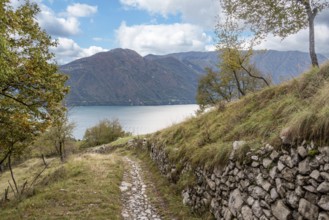 Hiking up a mountain at lake Como near Tremezzo, Italy, Europe