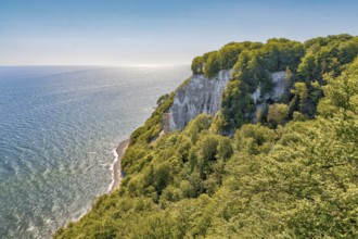 Chalk cliffs