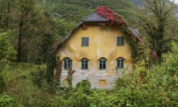 Old abandoned house, Bav?ica Valley in Triglav National Park, Bovec, Julian Alps. Slovenia, Central