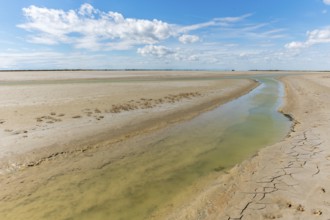 Typical landscape in a lagoon of the Rhone delta in the Camargue. Saintes Maries de la Mer, Parc
