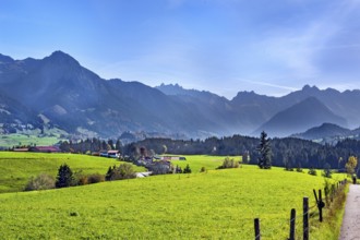 Green meadows, Allgäu Alps and forests near Ofterschwang, Allgäu, Bavaria, Germany, Europe