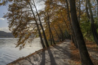 A small country road on the shores of a lake with trees in warm autumn colors