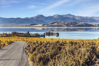 Mono Lake is a salt lake in California. Lime-tuff towers of bizarre shapes rise from the bottom of