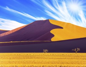 Hot sun of the Namib desert. Namibia, South Africa, sunset. The concept of extreme and exotic