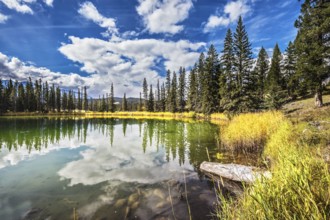 The small superficial lake is surrounded with a coniferous forest. The smooth surface of water