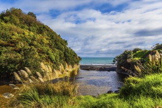 Fjord between wooded hills. Picturesque Pacific coast. North Island, New Zealand. The concept of