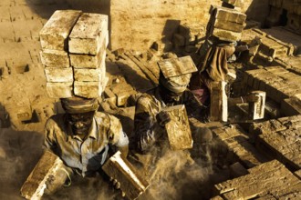 Worker carrying bricks on head in factory, India, Asia