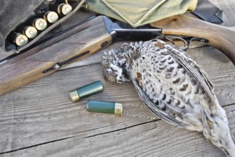 Hunting rifle, bandoleer belt with cartridges, bag and hazel grouse on the background of wooden