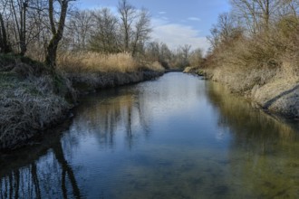 Clear water of a river with reflection of trees and sky in quiet surroundings, Isar floodplains
