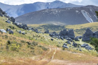 An image of a landscape scenery in south New Zealand