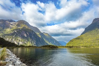 Fiordland park. The magical nature of the southern hemisphere. South Island, New Zealand. Port of