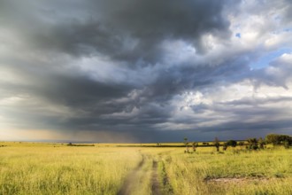 Rain clouds over savannah. Safari - tour to the famous Kenyan reserve Amboseli National Park, Kenya